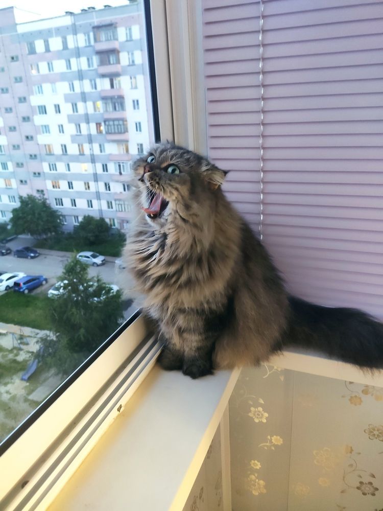 Photograph by Алексей Ларин