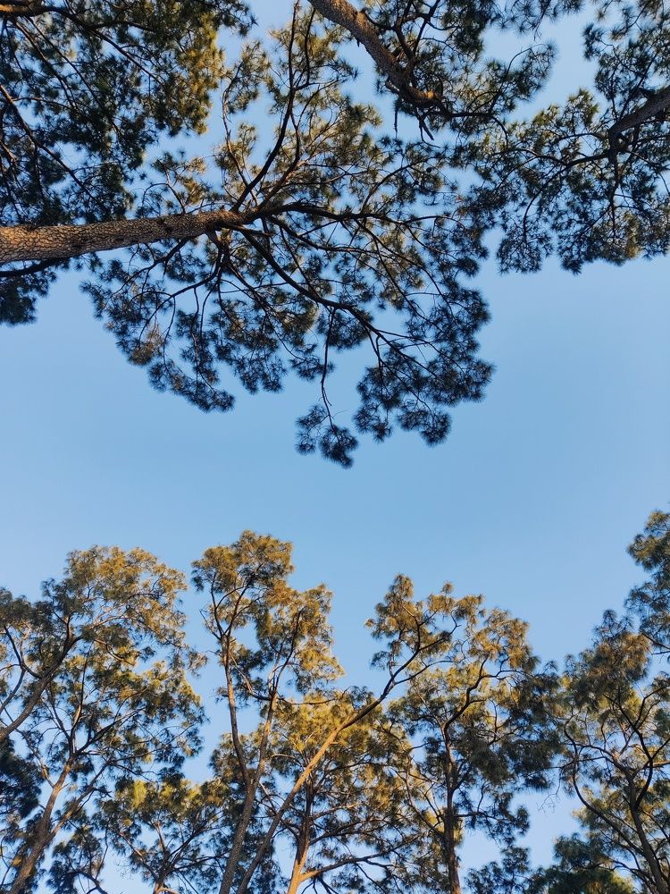 Фотография автора Jaya Bin