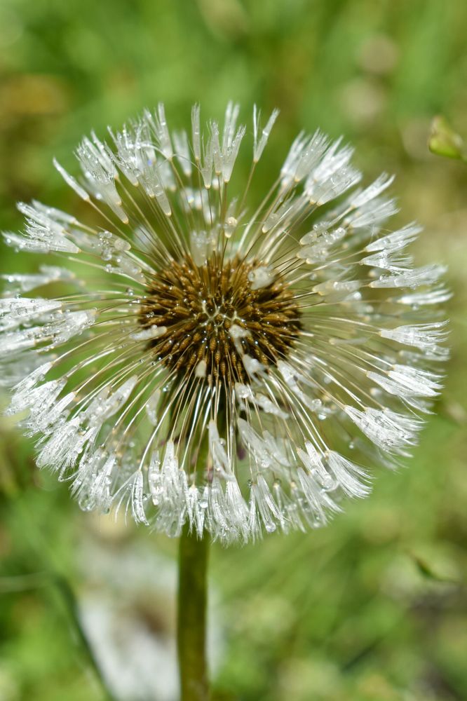 Photograph by Ольга Топорищева