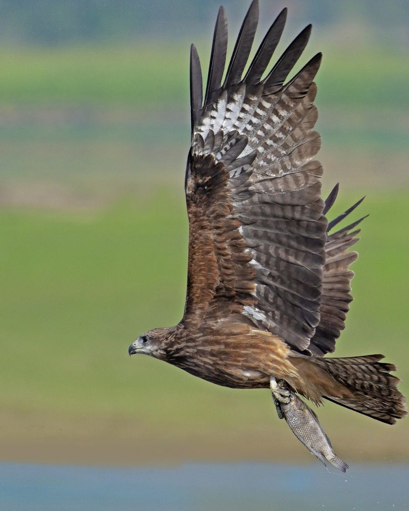 Photograph by Sakshi Pawar