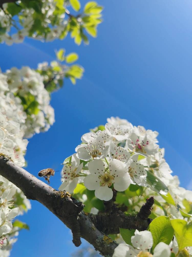 Photograph by Ольга Вергейчик