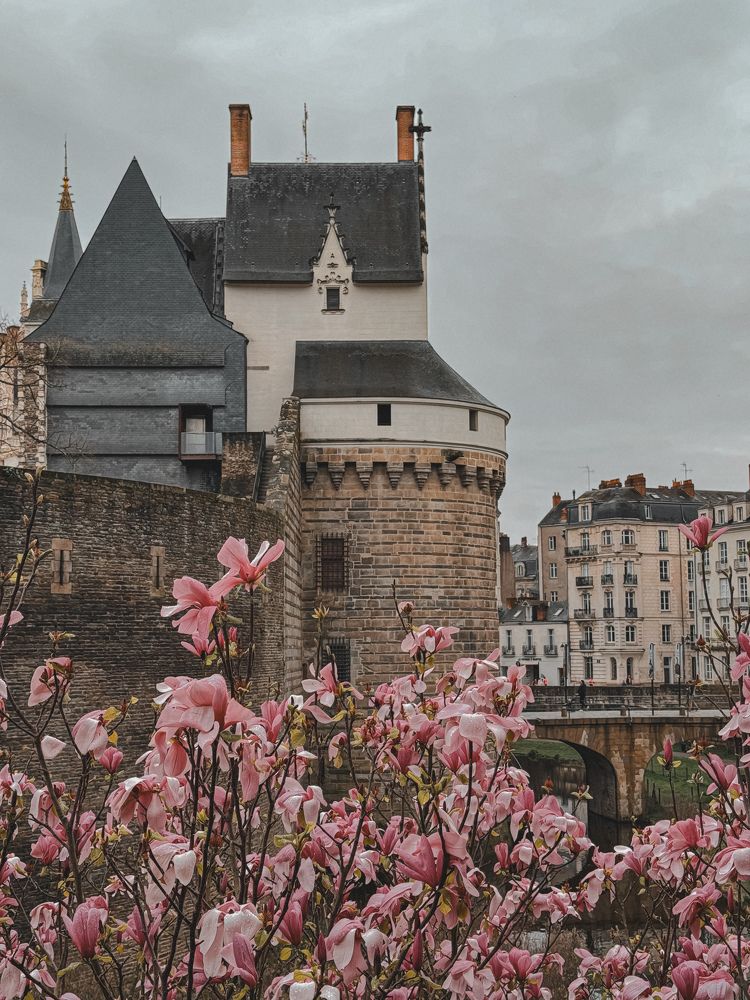 Photograph by Аlina BRAZIUL