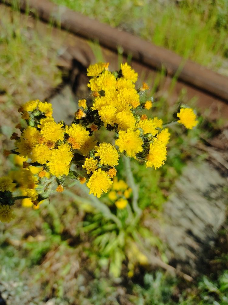 Photograph by Оксана Чеснакова