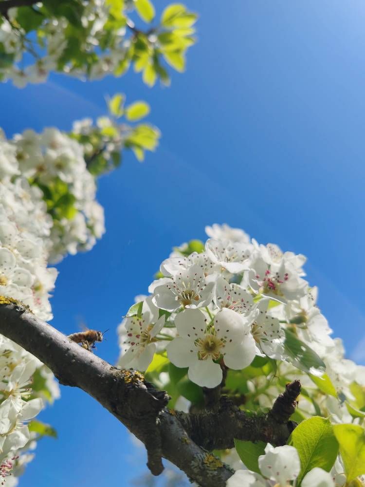 Photograph by Ольга Вергейчик