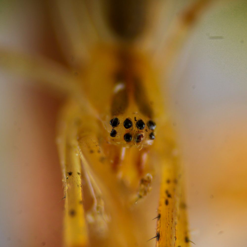 Photograph by Utsav Bhatt