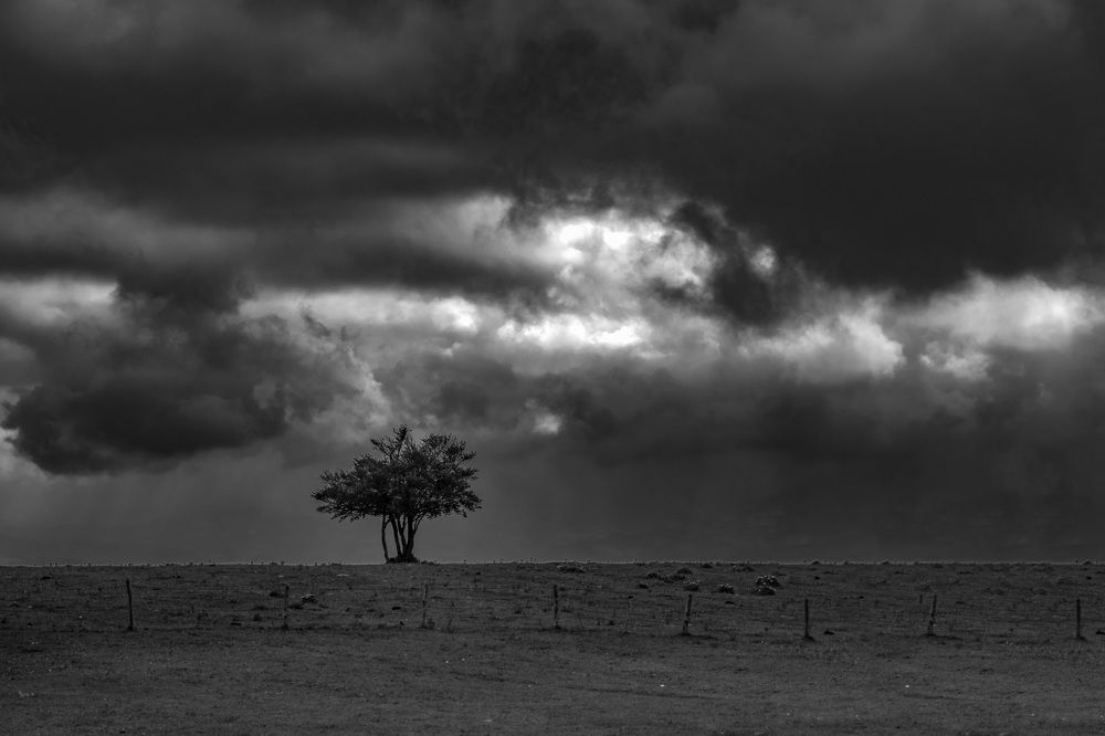 Фотография автора Roberta Costanzi