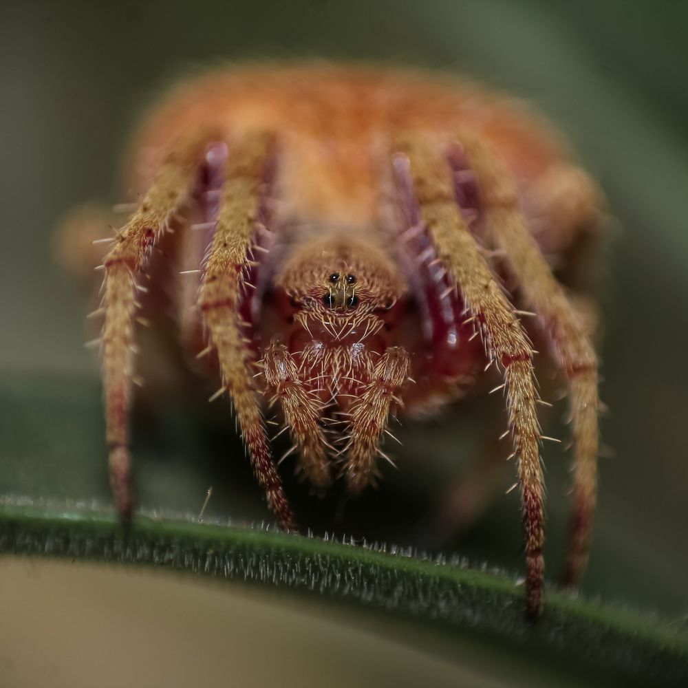 Photograph by Utsav Bhatt