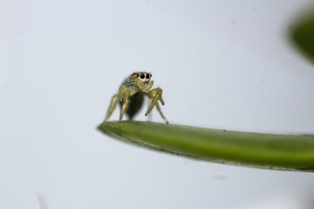 Photograph by Utsav Bhatt