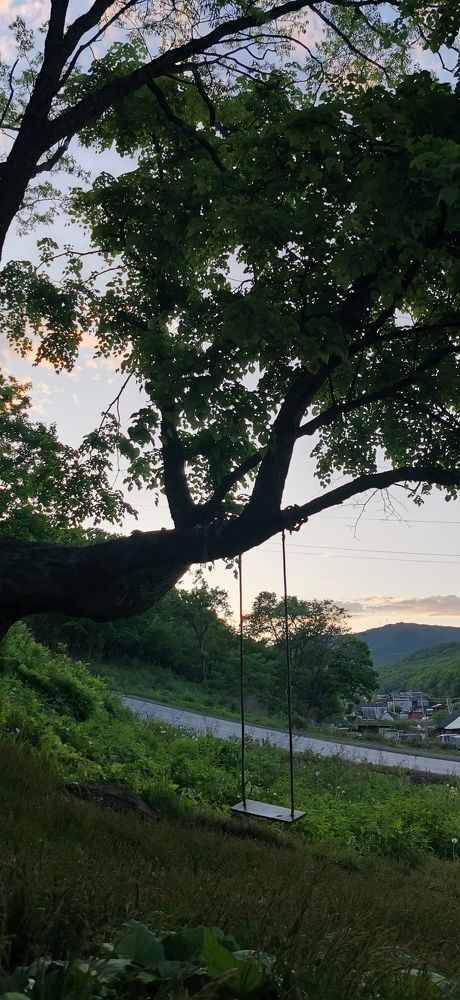 Photograph by Ольга Телебокова