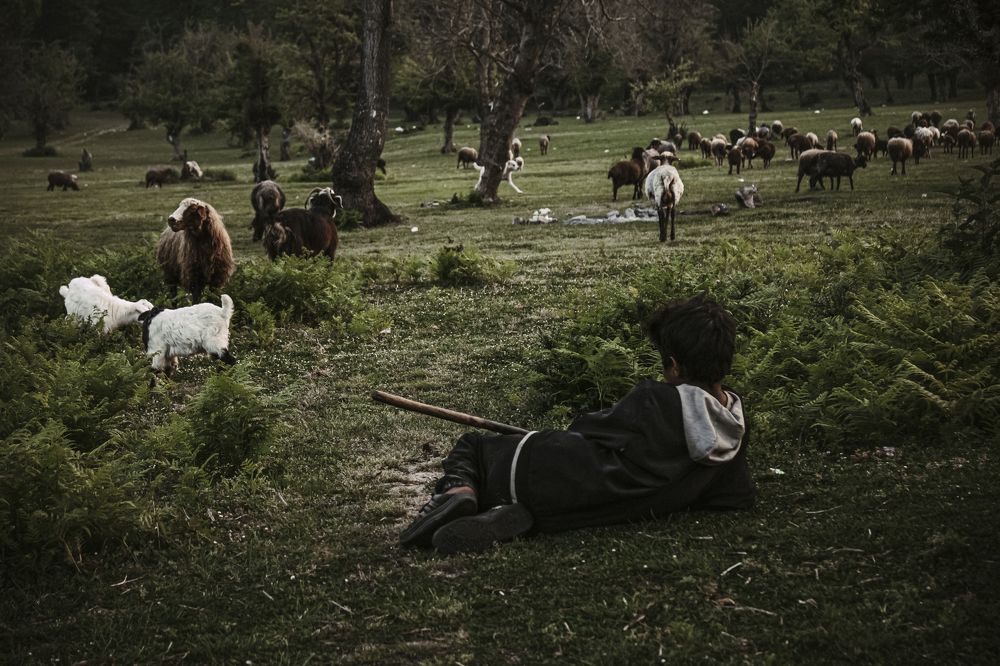 Photograph by Ardavan Fallah