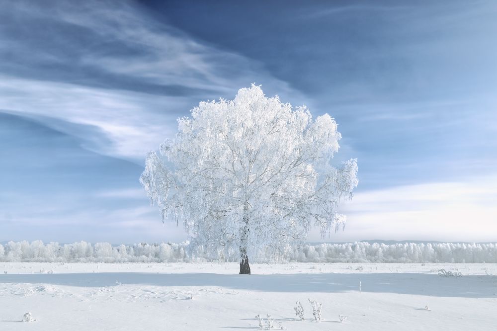 Ледяное пламя