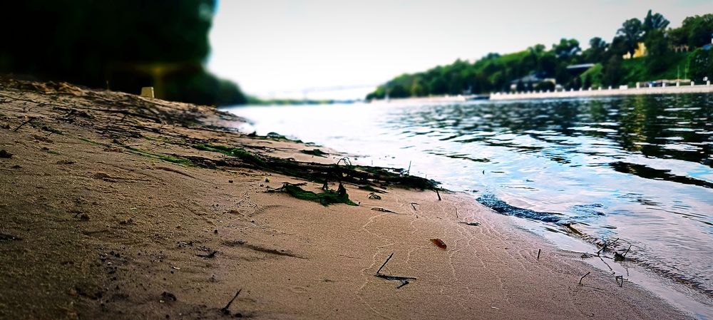 Photograph by Mishel Photographer