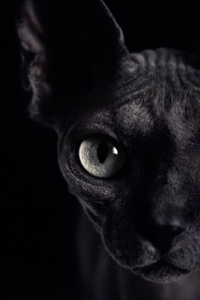 Photograph by Вострецов Иван