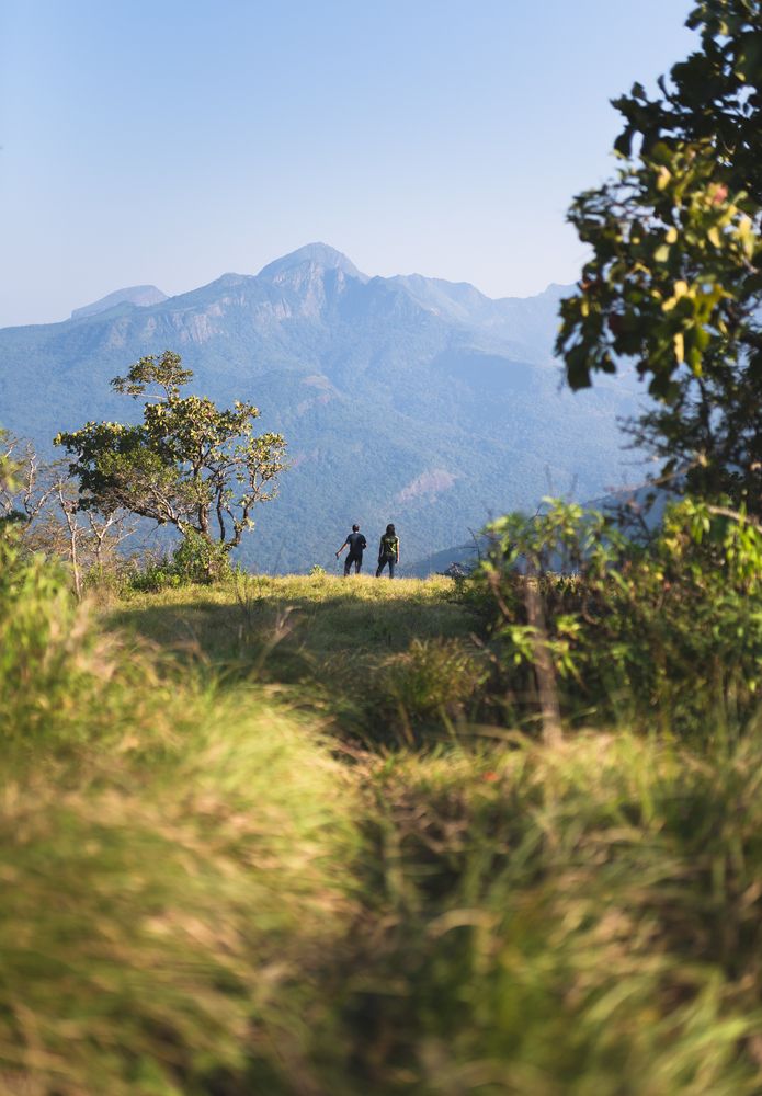 Paths that draw you in