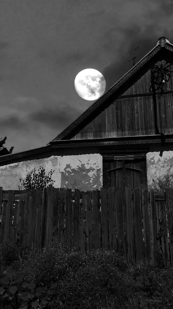 Фотография автора Наталья Алексеева