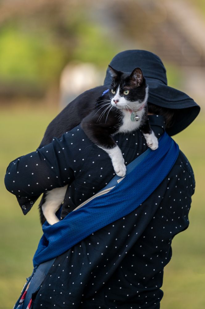 Фотография автора Viduranga Shan