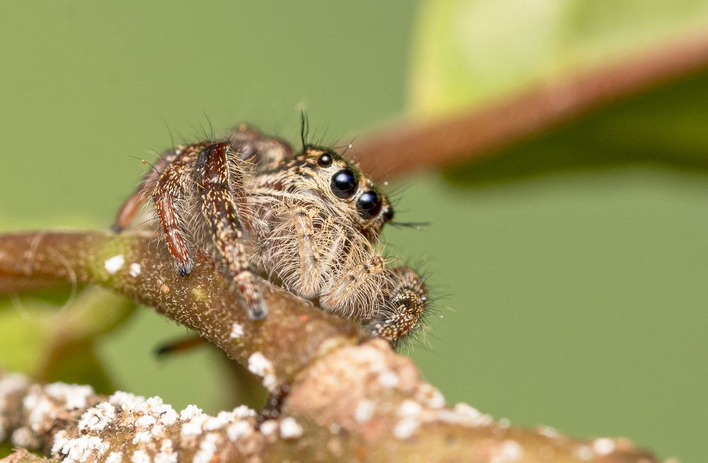 Photograph by Sin shing Lim