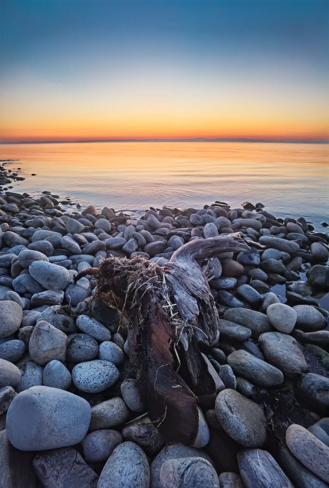 Photograph by Портных Дмитрий