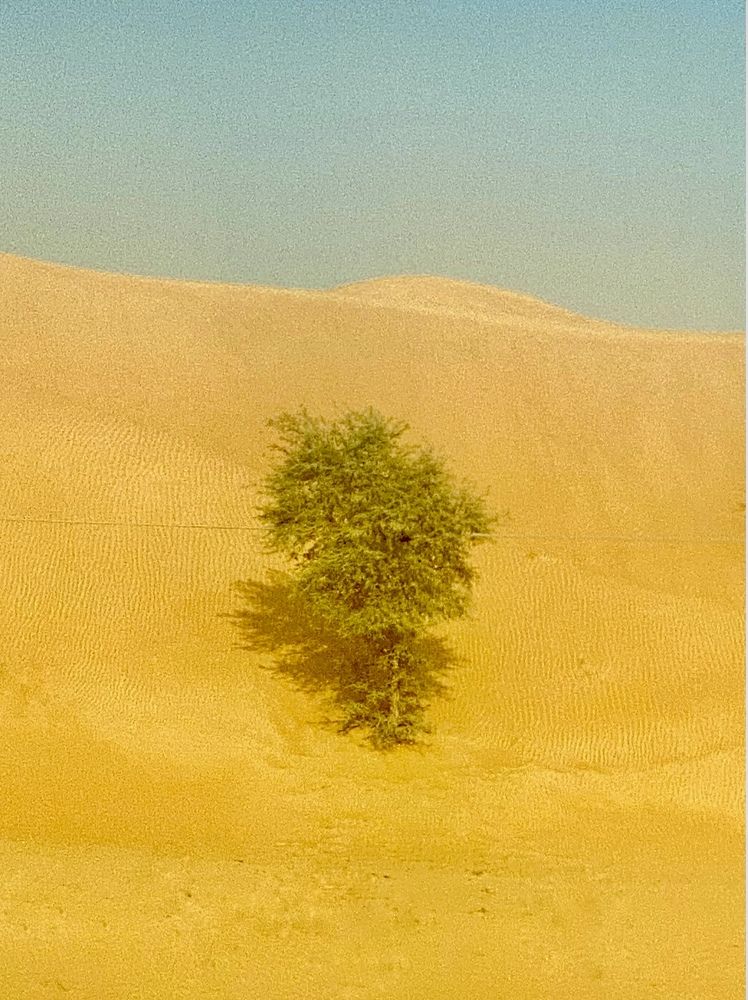 Фотография автора ГУЗАЛИЯ ГАНИЕВА