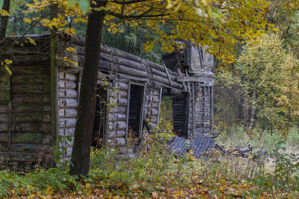 Photograph by Криволуцкий Вячеслав