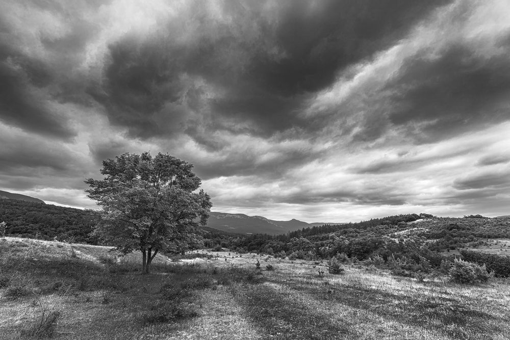 Photograph by Владимир Лысов