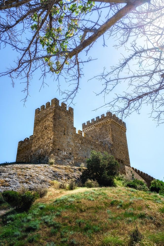 Photograph by Света Богоявленская