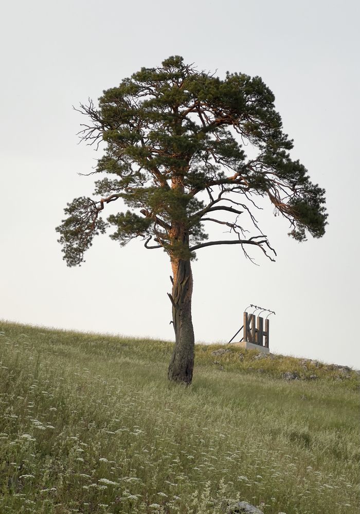Photograph by Александр Ранчин