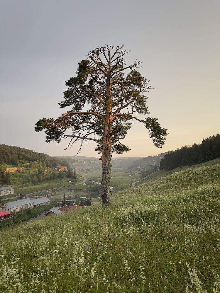 Photograph by Александр Ранчин