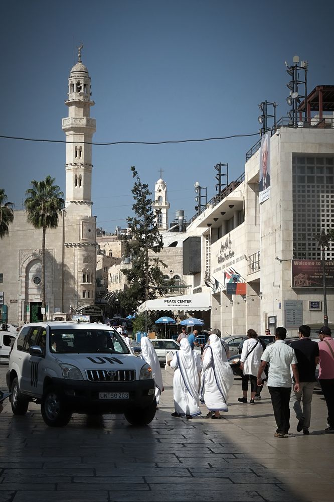 Фотография автора Плешков Игорь