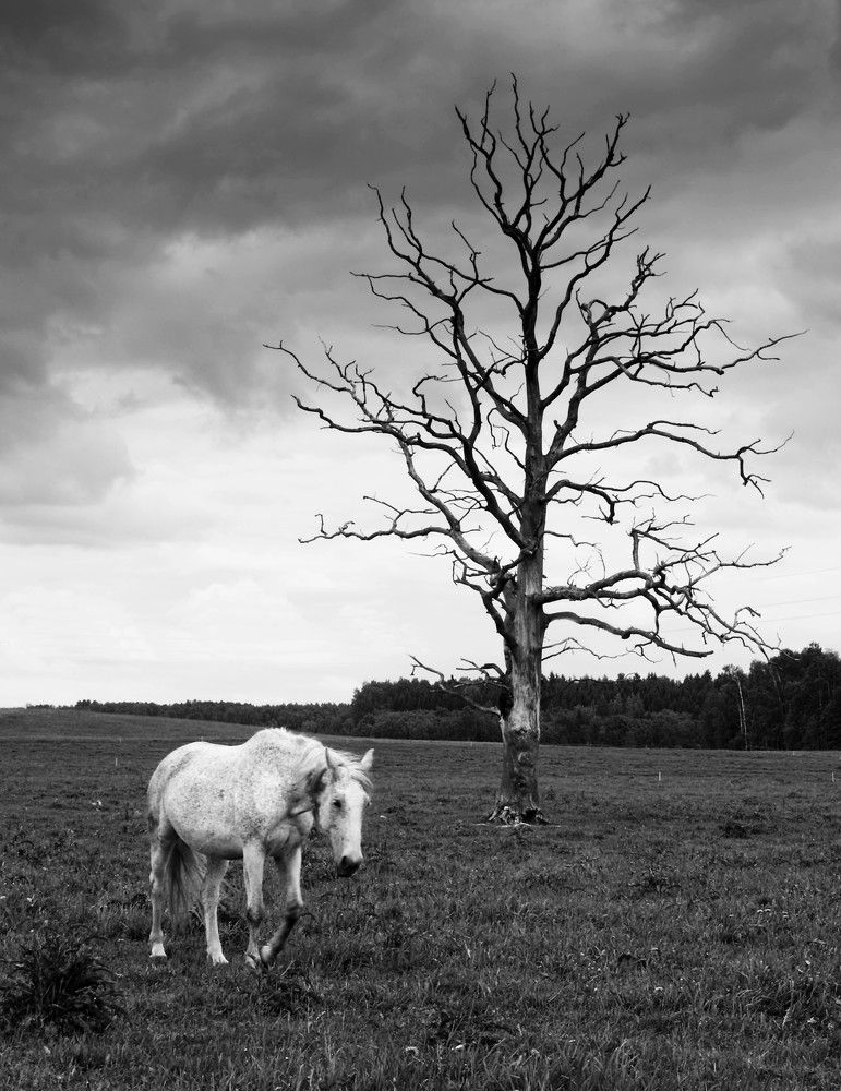 Photograph by Agita Leimane