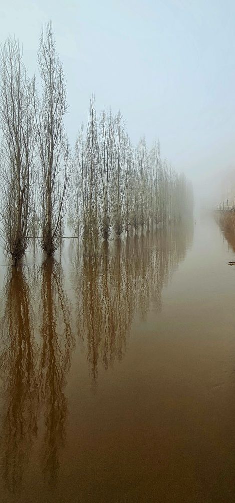 Photograph by Наталья Анисимова