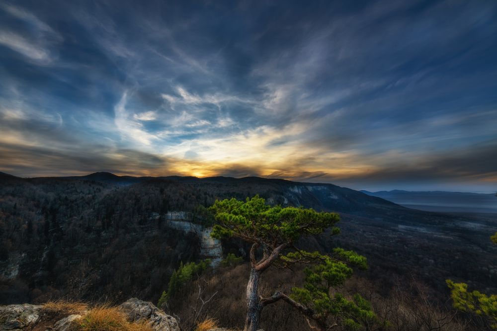 Photograph by Ирина Ульянова