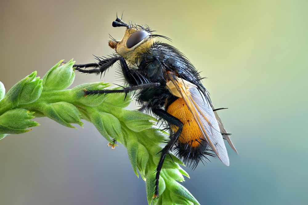 Photograph by Антон Финевич