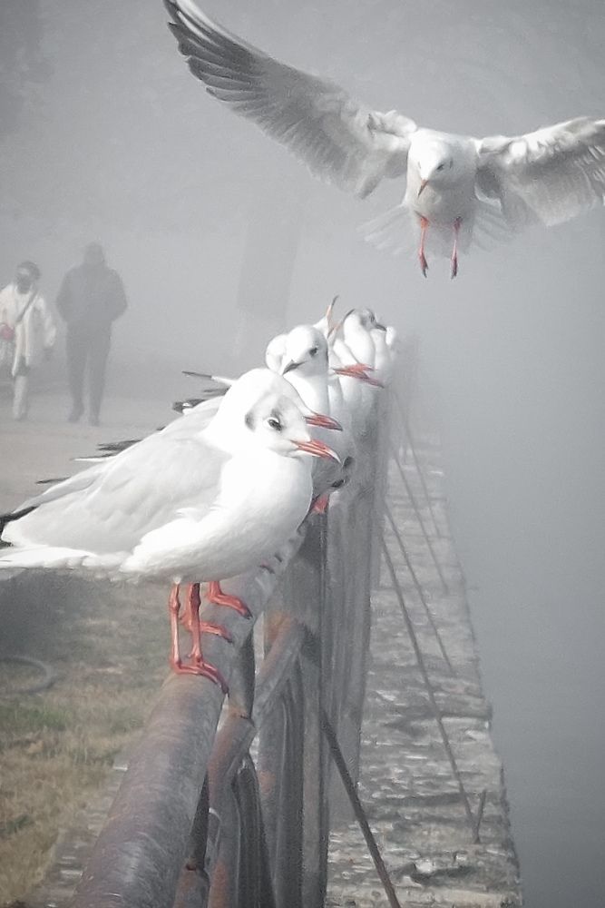 Photograph by Vasilhs kolios