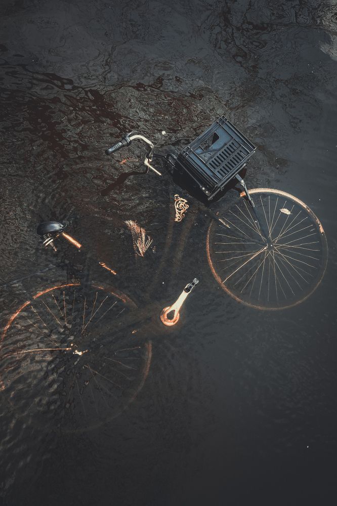 Фотография автора Vasilhs kolios