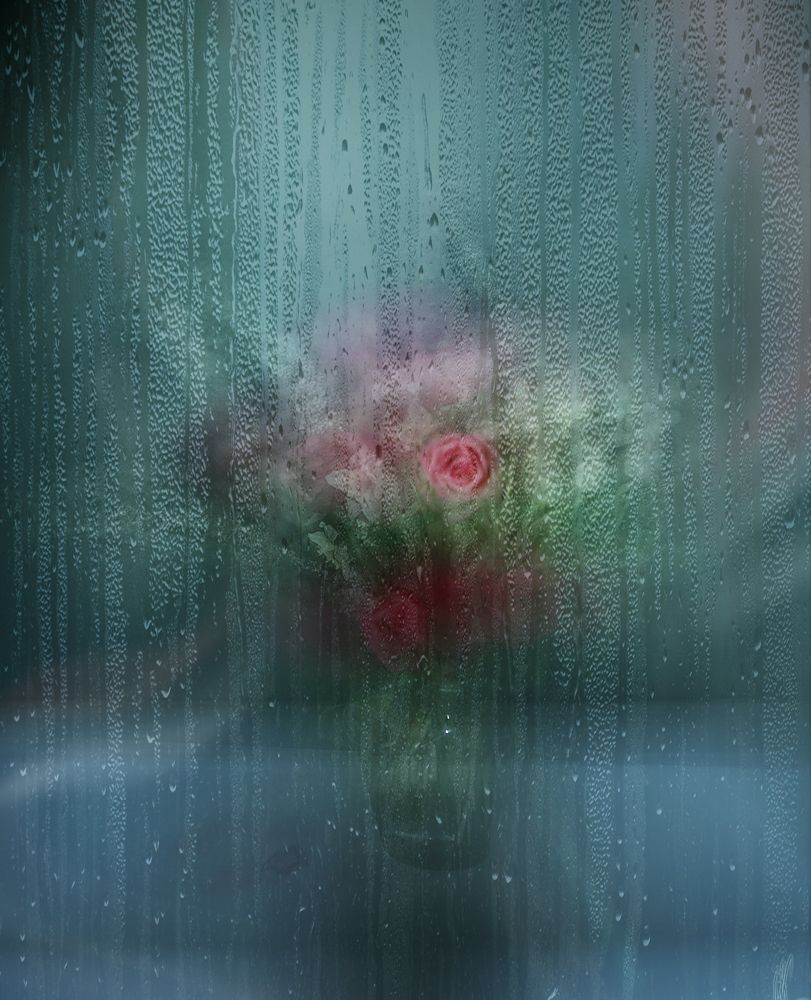 Photograph by Туева Наталья