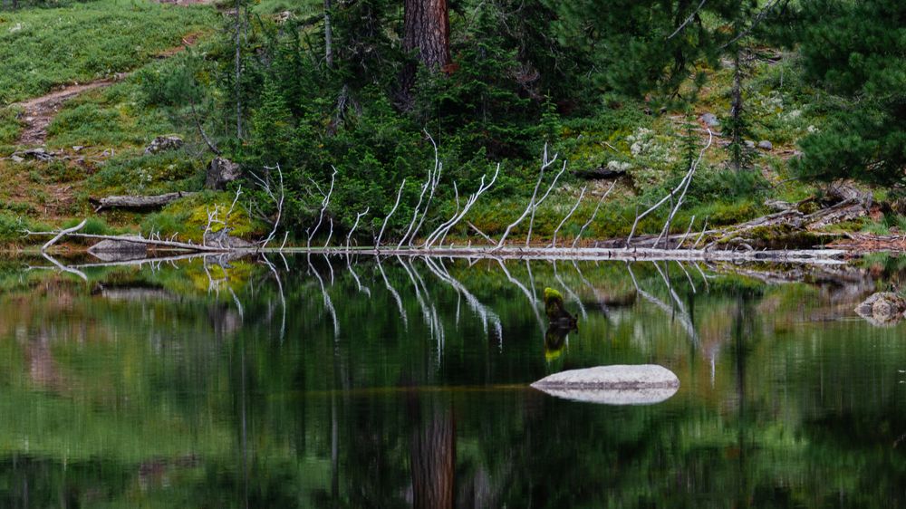 Photograph by Савенко Кирилл