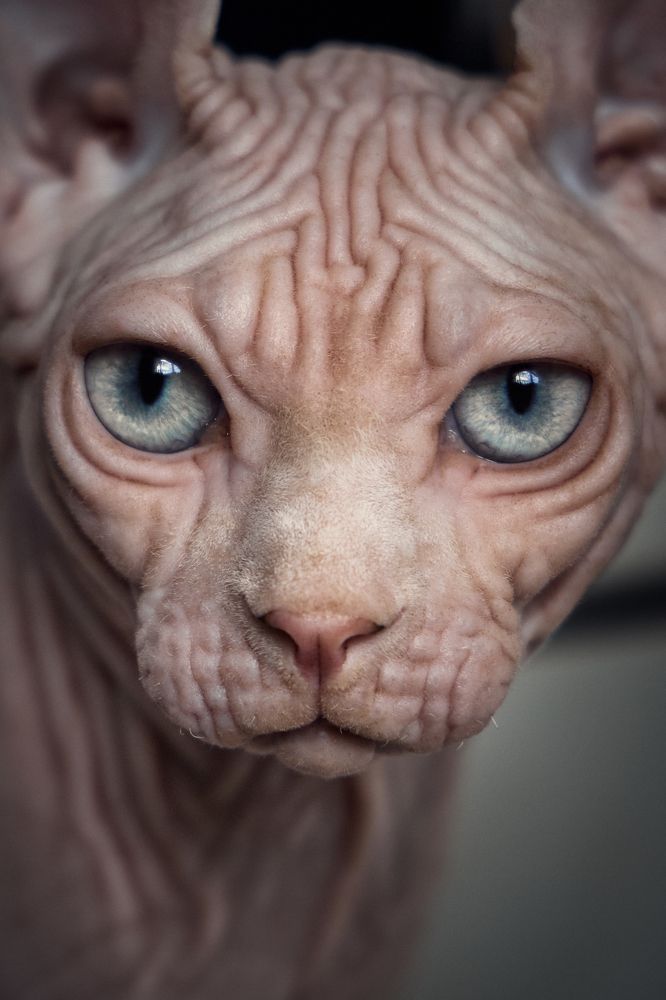 Фотография автора Вострецов Иван