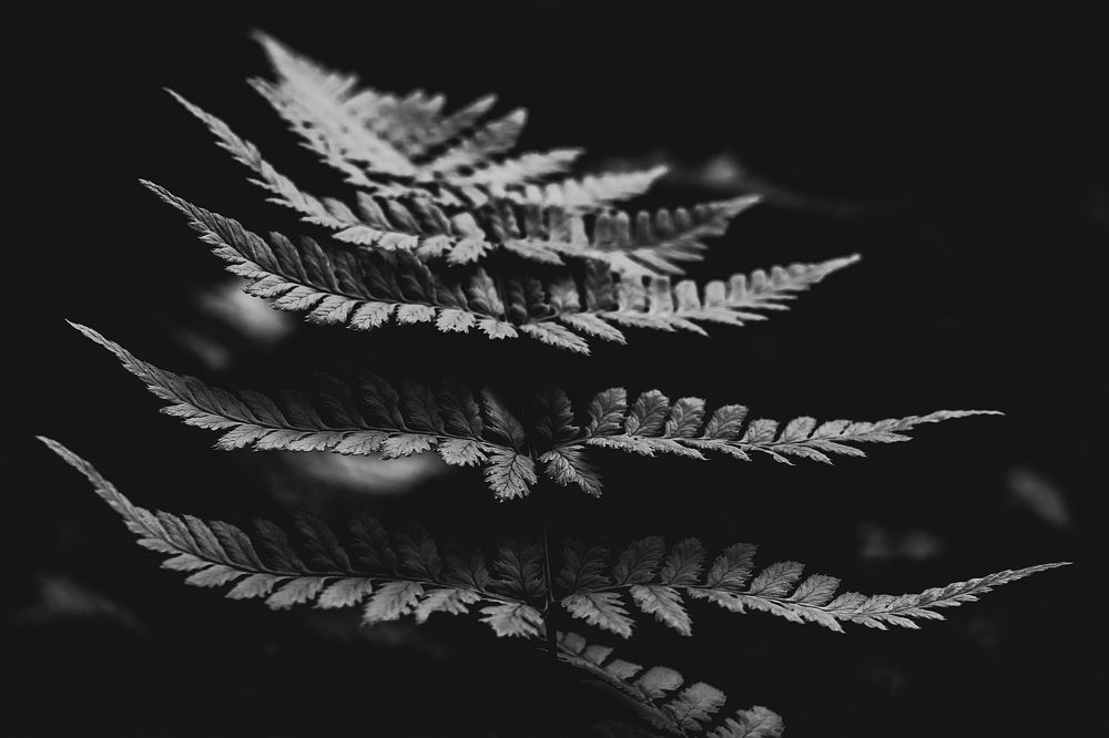 Photograph by Александр Шершнев