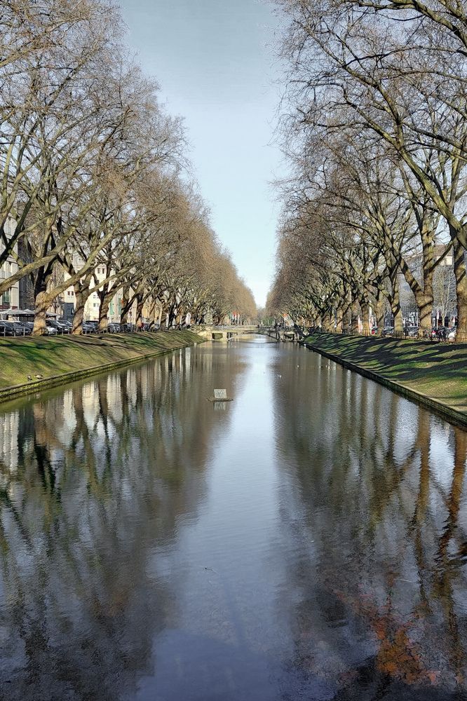 Фотография автора Vasilhs kolios