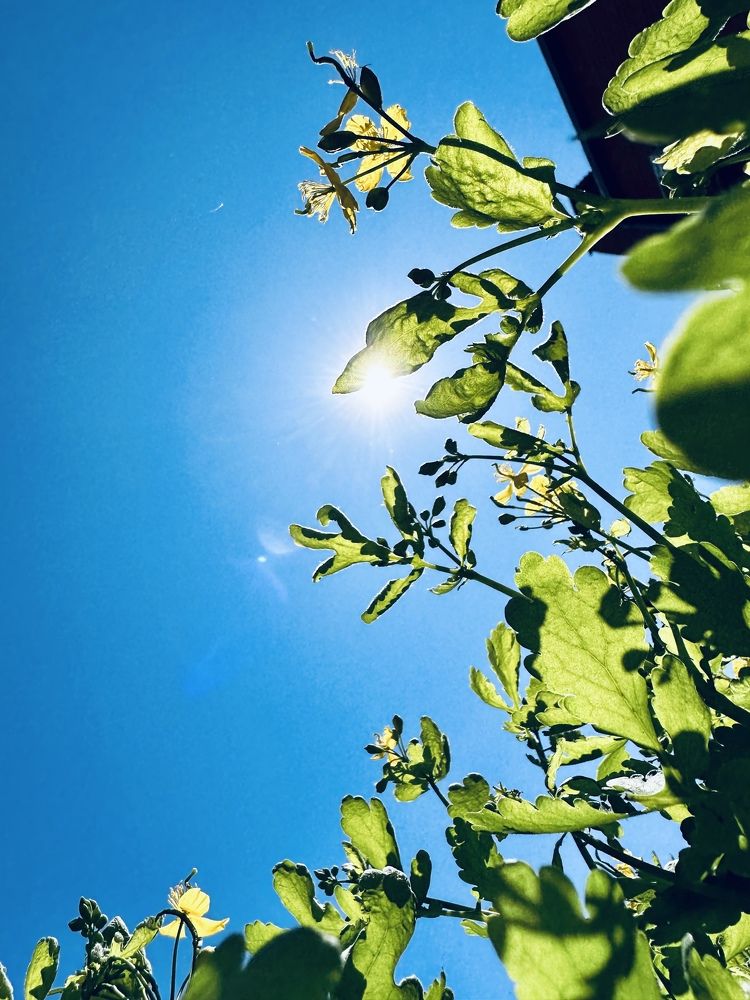 Photograph by ANDREY ZARUBIN