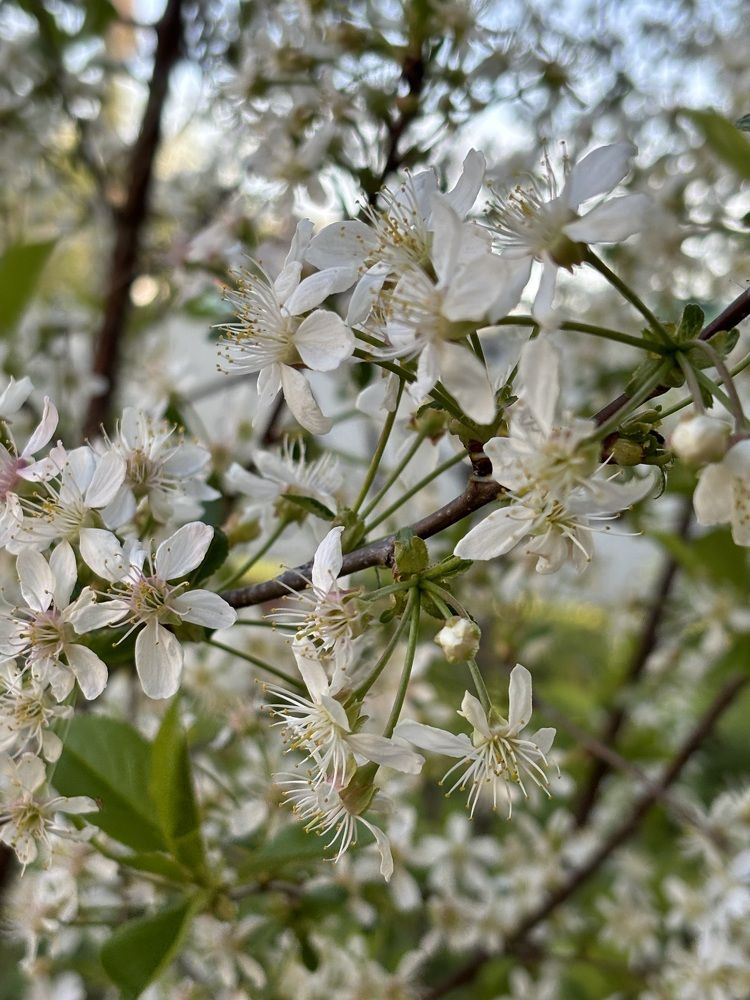 Photograph by Ильмира Рахимова