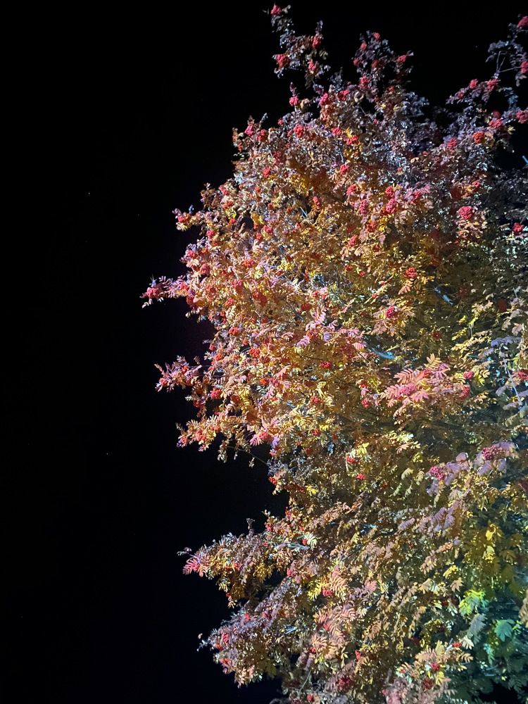 Photograph by Ильмира Рахимова