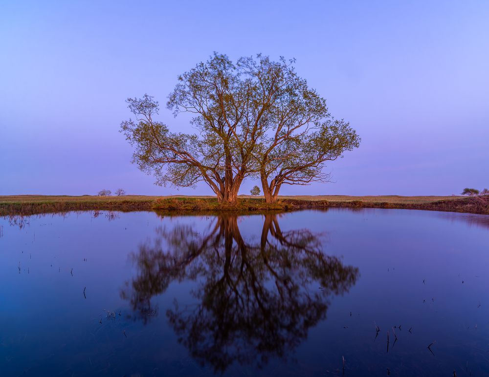 Photograph by Савенко Кирилл