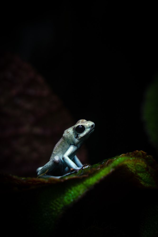 Фотография автора Sarka Svobodova