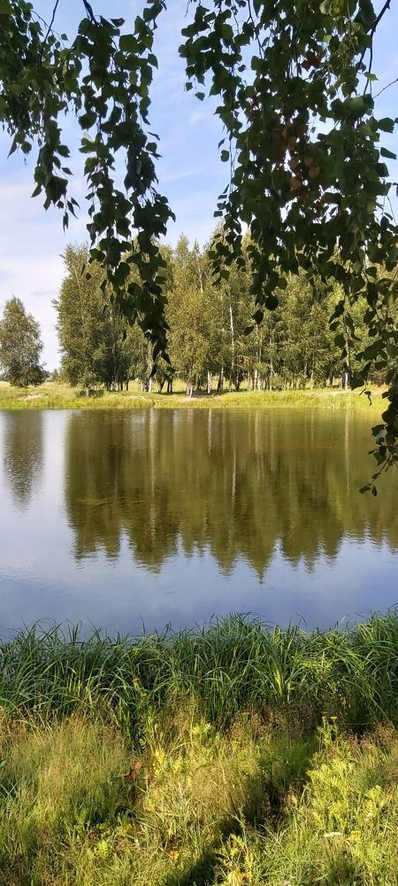 Лето пришло!