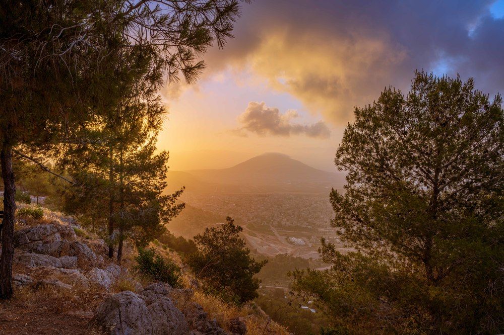 Photograph by Ilya Stolov