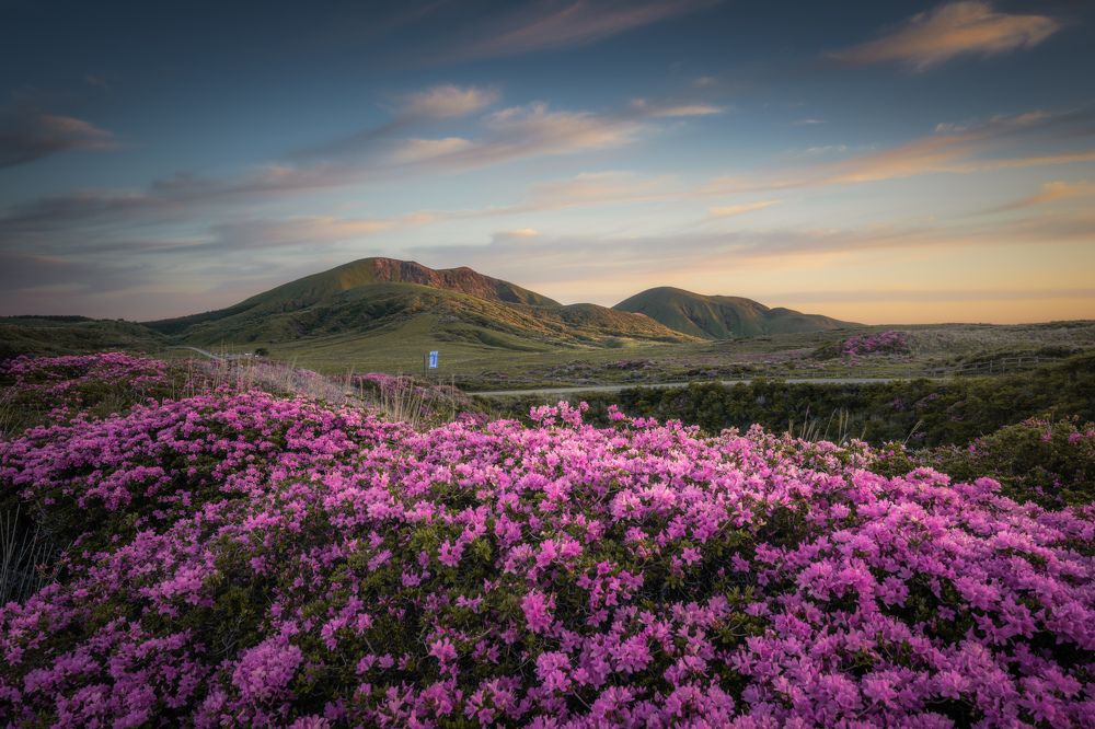 Photograph by HIROTOMO NAKAHARA