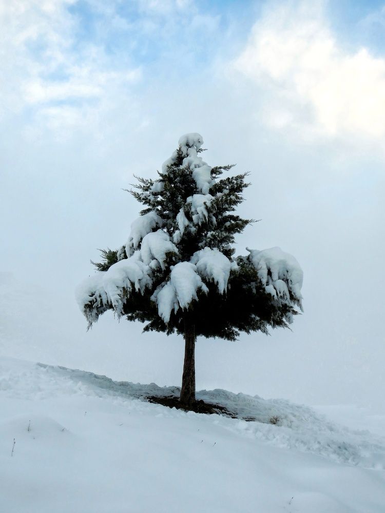 Фотография автора Mahdi Mohammadi