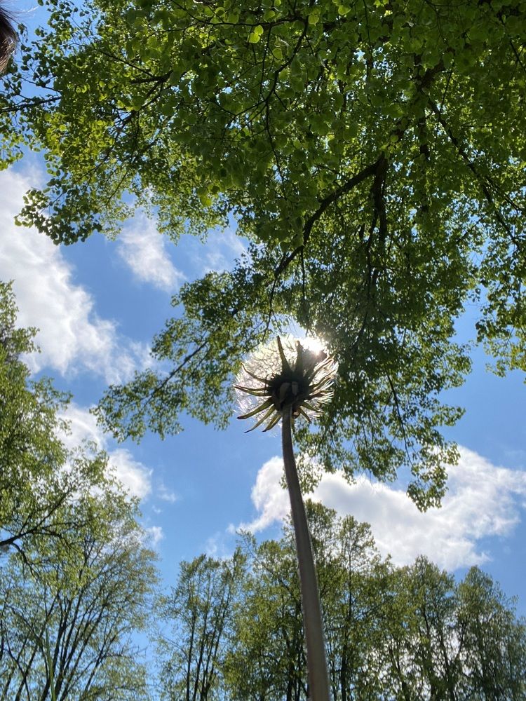 Photograph by Сергей Александрович